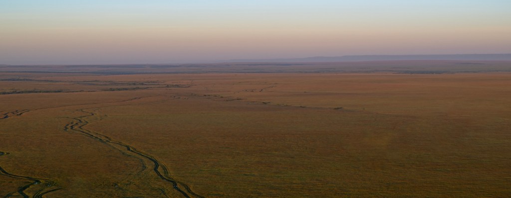 Depth vs. Breadth: A Case for Living&nbsp;Wide